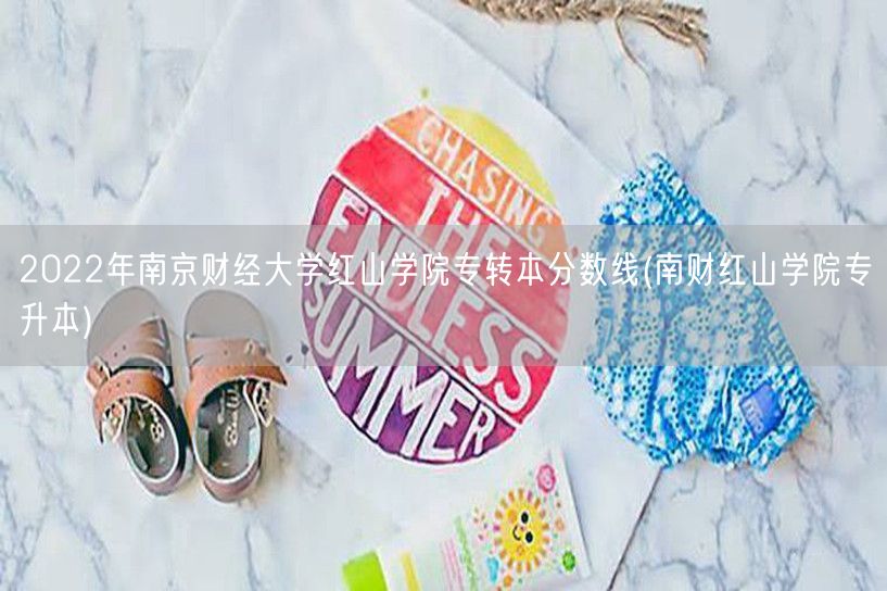 2022年南京财经大学红山学院专转本分数