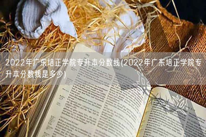 2022年广东培正学院专升本分数线(20