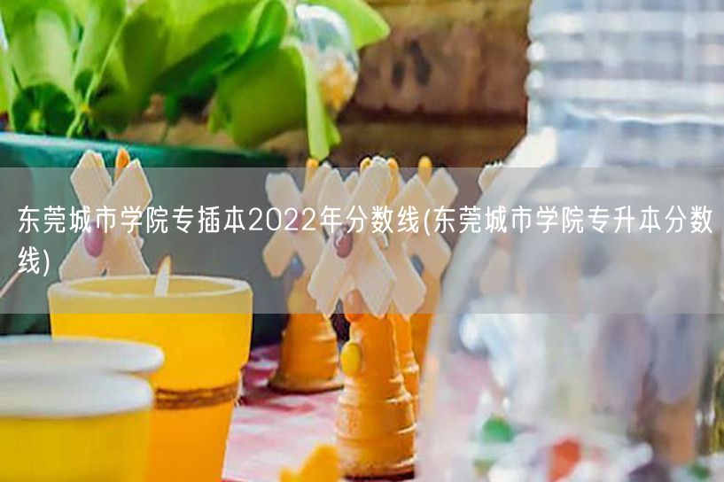 东莞城市学院专插本2022年分数线(东莞