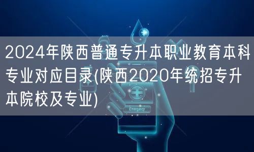 2024年陕西普通专升本职业教育本科专业