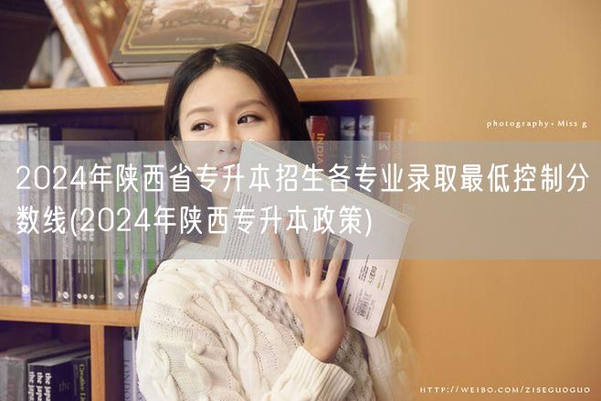 2024年陕西省专升本招生各专业录取最低