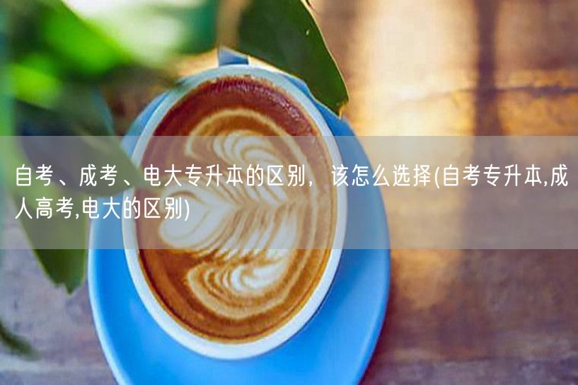 自考、成考、电大专升本的区别，该怎么选择