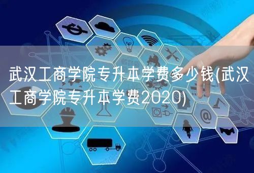 武汉工商学院专升本学费多少钱(武汉工商学