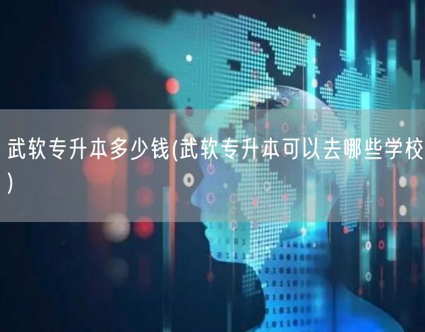 武软专升本多少钱(武软专升本可以去哪些学