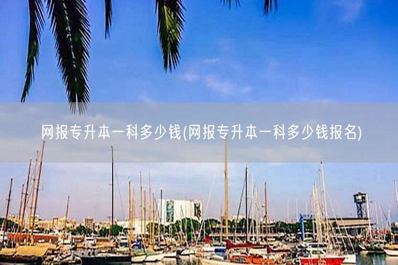 网报专升本一科多少钱(网报专升本一科多少