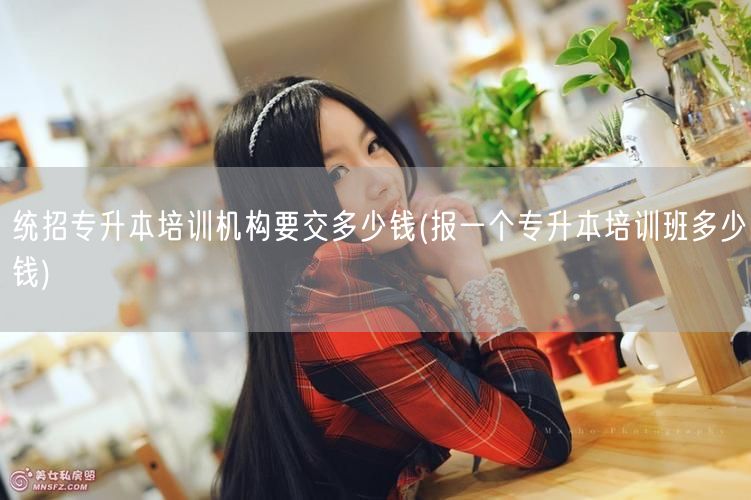 统招专升本培训机构要交多少钱(报一个专升