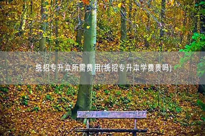 统招专升本所需费用(统招专升本学费贵吗)