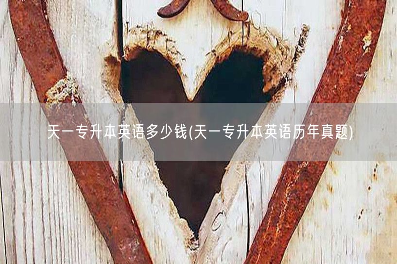 天一专升本英语多少钱(天一专升本英语历年