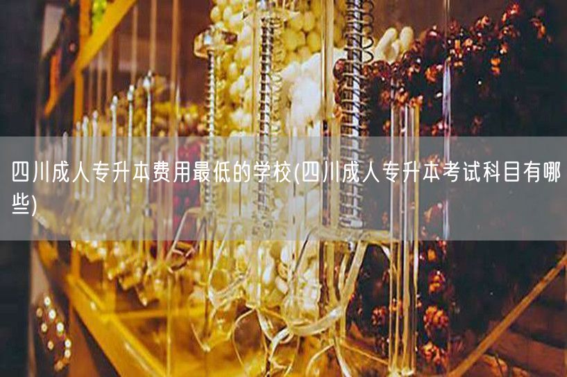 四川成人专升本费用最低的学校(四川成人专