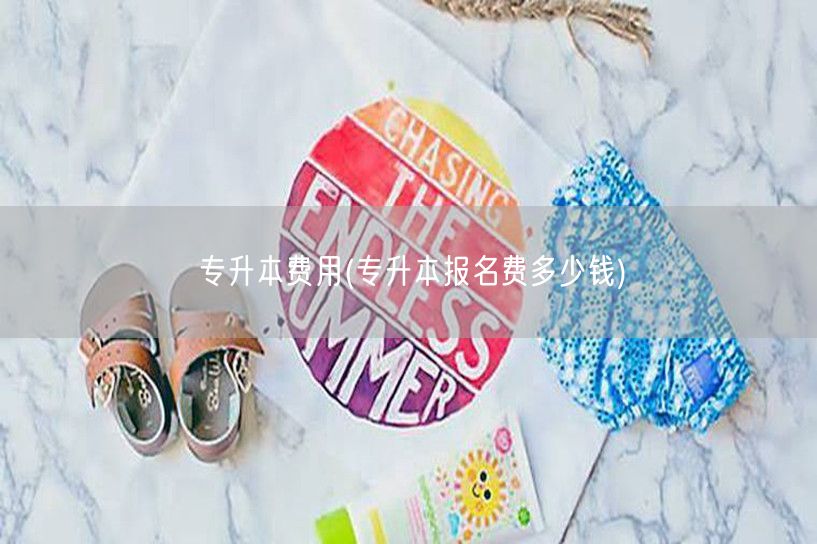 专升本费用(专升本报名费多少钱)