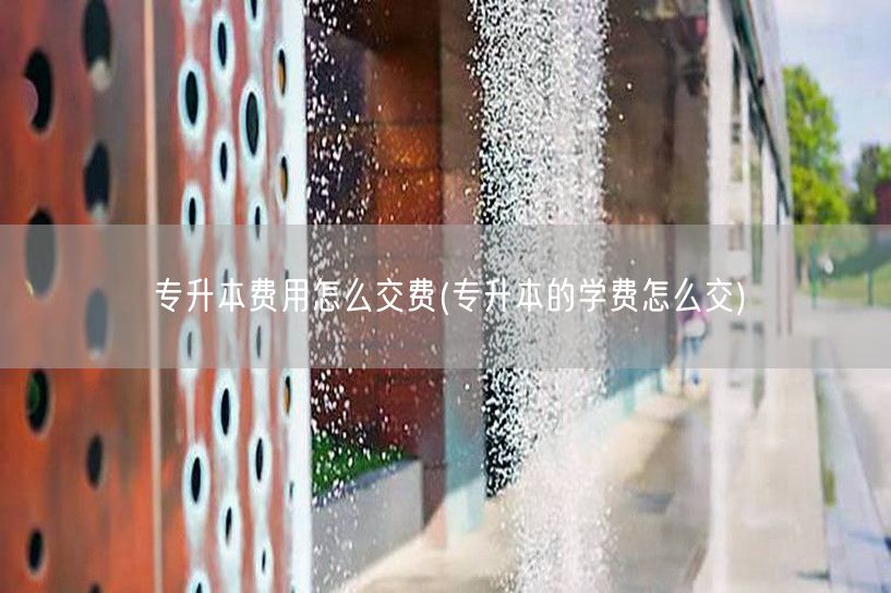 专升本费用怎么交费(专升本的学费怎么交)