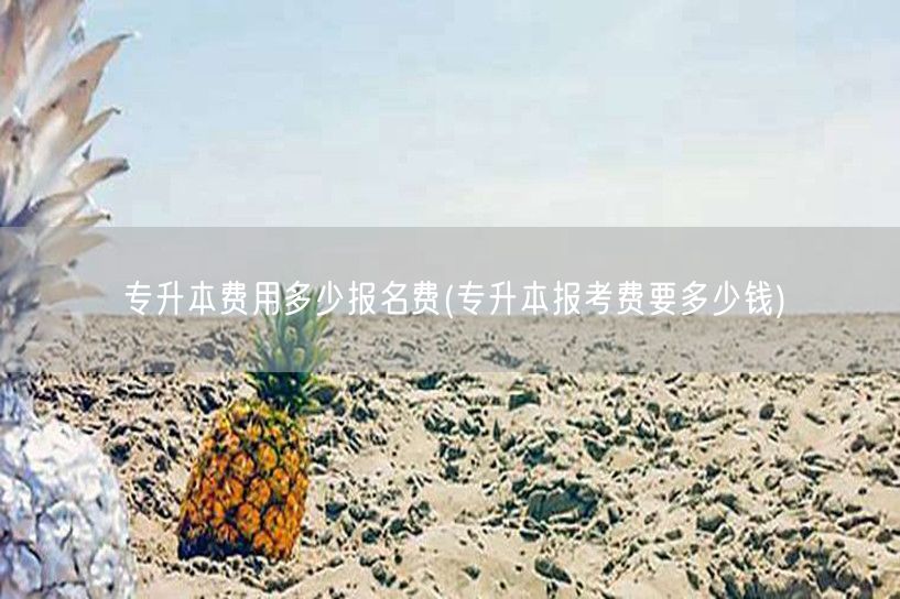 专升本费用多少报名费(专升本报考费要多少