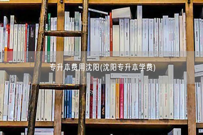 专升本费用沈阳(沈阳专升本学费)
