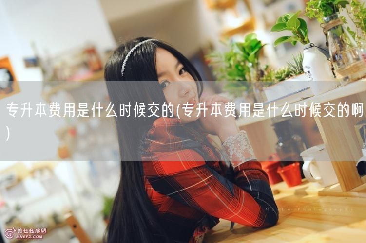 专升本费用是什么时候交的(专升本费用是什