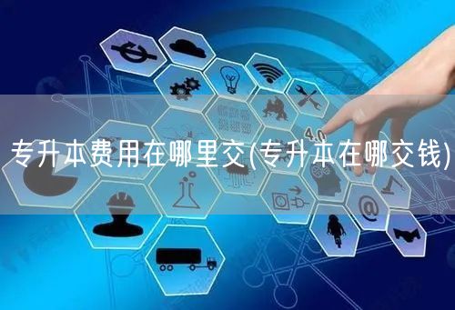 专升本费用在哪里交(专升本在哪交钱)