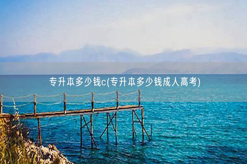 专升本多少钱c(专升本多少钱成人高考)
