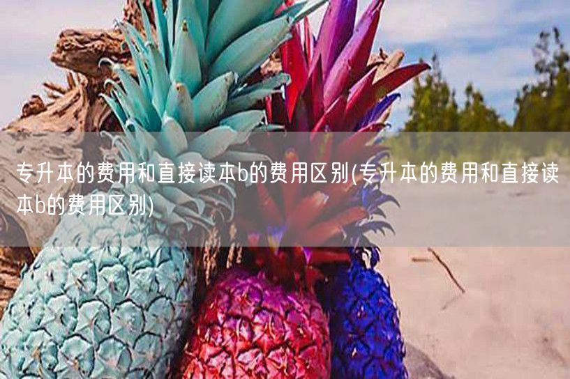 专升本的费用和直接读本b的费用区别(专升