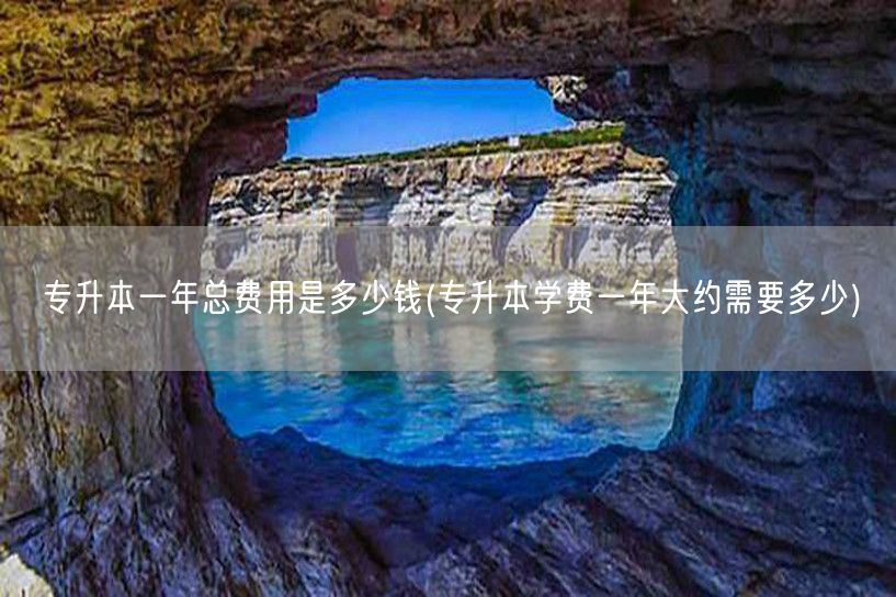 专升本一年总费用是多少钱(专升本学费一年
