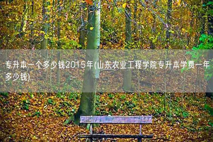专升本一个多少钱2015年(山东农业工程