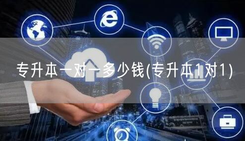 专升本一对一多少钱(专升本1对1)