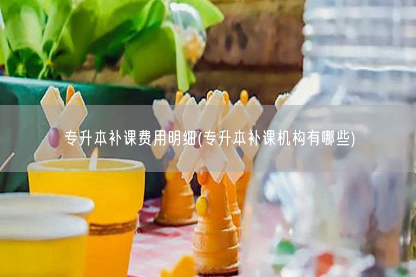 专升本补课费用明细(专升本补课机构有哪些