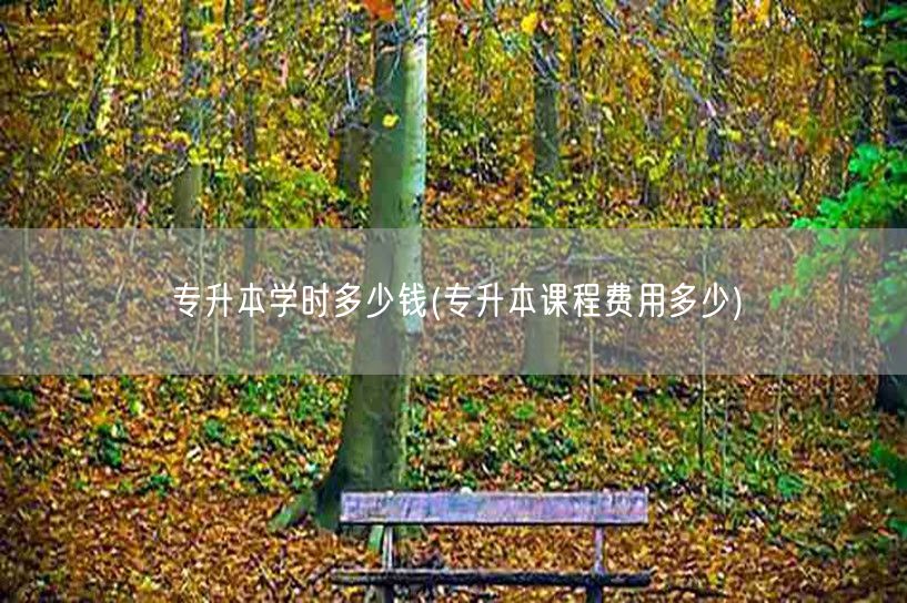 专升本学时多少钱(专升本课程费用多少)