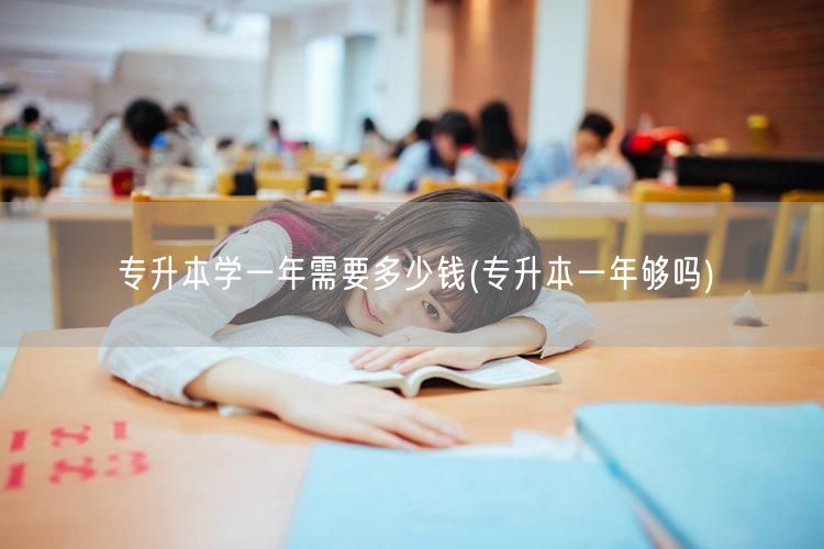 专升本学一年需要多少钱(专升本一年够吗)