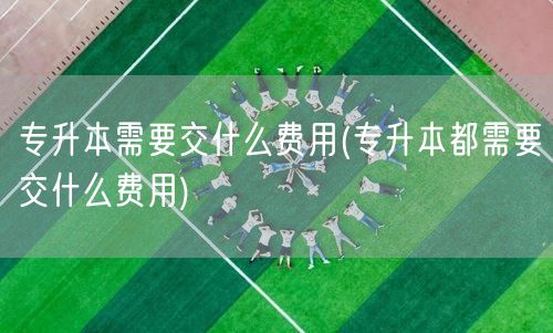 专升本需要交什么费用(专升本都需要交什么