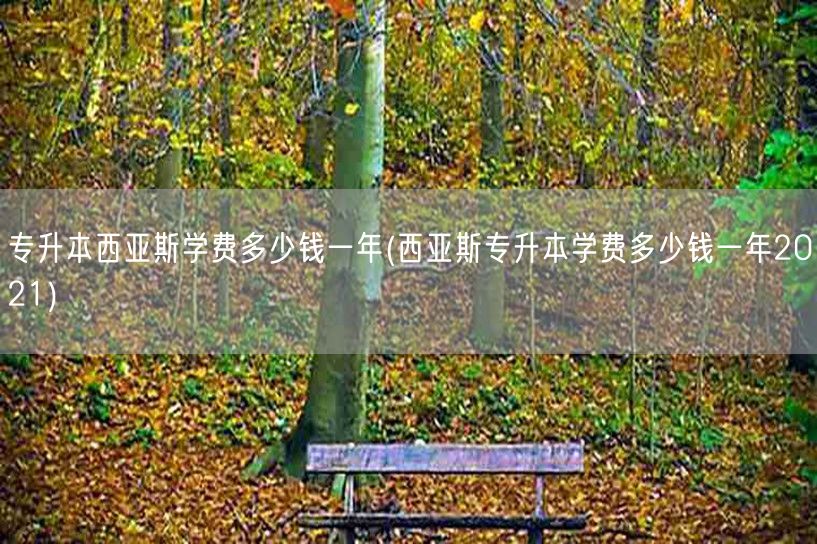 专升本西亚斯学费多少钱一年(西亚斯专升本