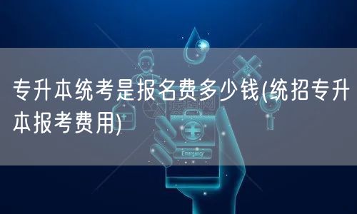 专升本统考是报名费多少钱(统招专升本报考