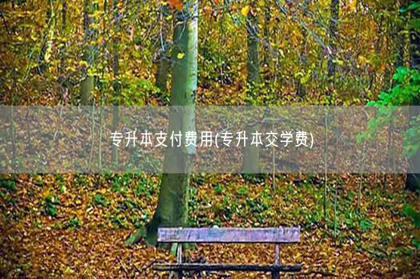 专升本支付费用(专升本交学费)