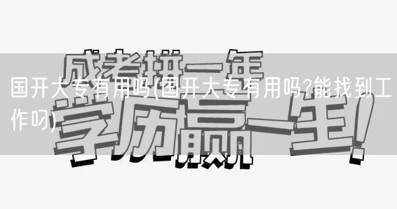 国开大专有用吗(国开大专有用吗?能找到工