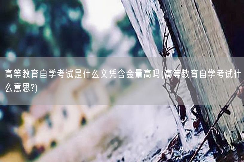 高等教育自学考试是什么文凭含金量高吗(高