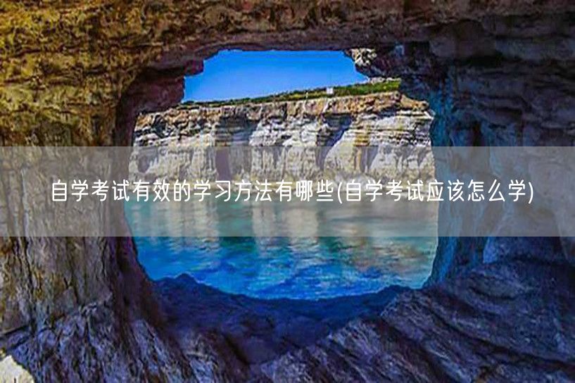 自学考试有效的学习方法有哪些(自学考试应