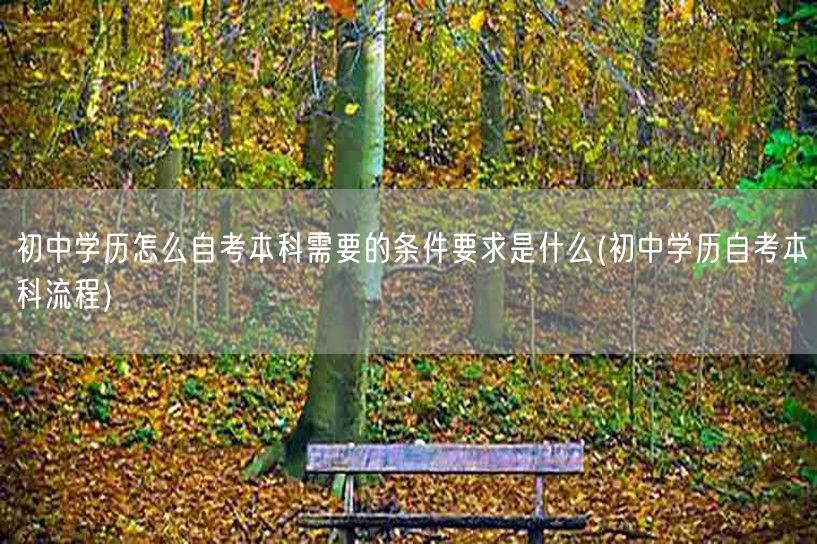 初中学历怎么自考本科需要的条件要求是什么