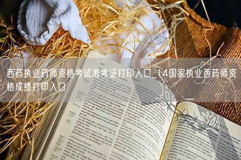 西药执业药师考试准考证及成绩打印统一入口