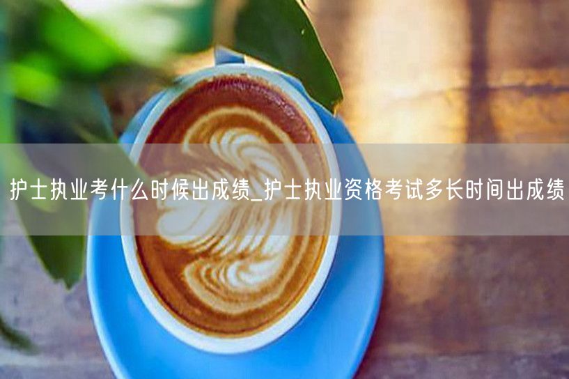 护士执业考成绩公布时间_多久出成绩