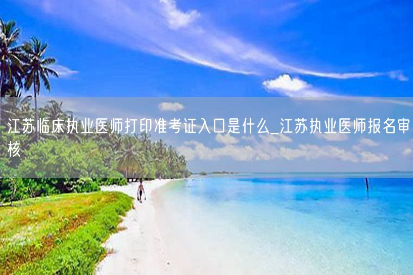 江苏临床执业医师准考证打印及报名审核入口