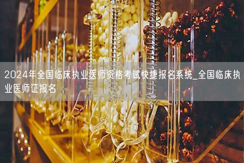 2024临床执业医师资格考试报名系统_快