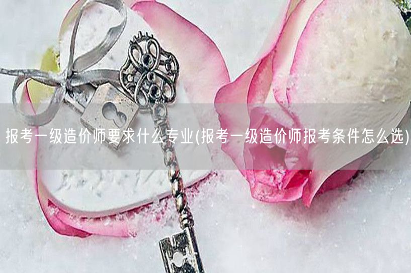 报考一级造价师要求什么专业 报考一级造价