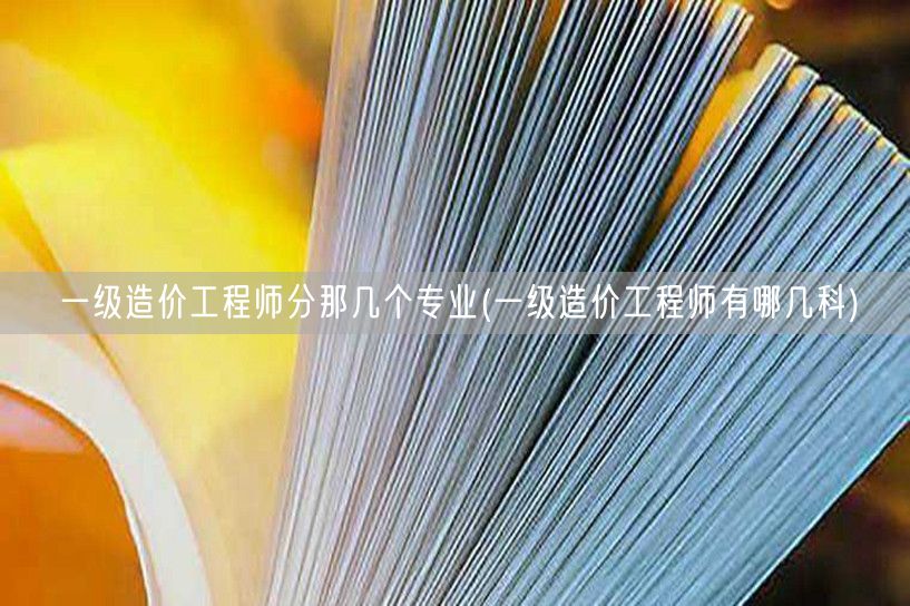 一级造价工程师分那几个专业 考试科目概览