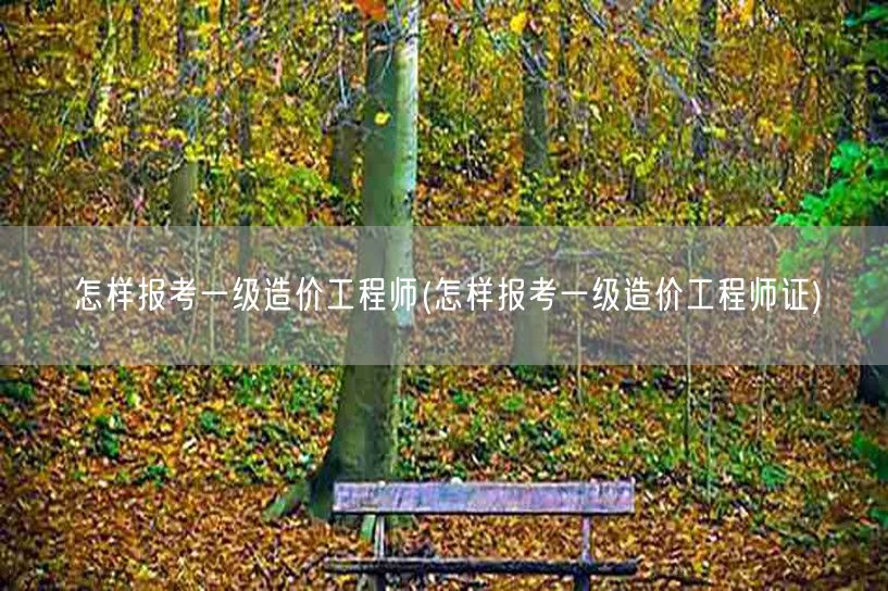 怎样报考一级造价工程师 报名流程与资格要
