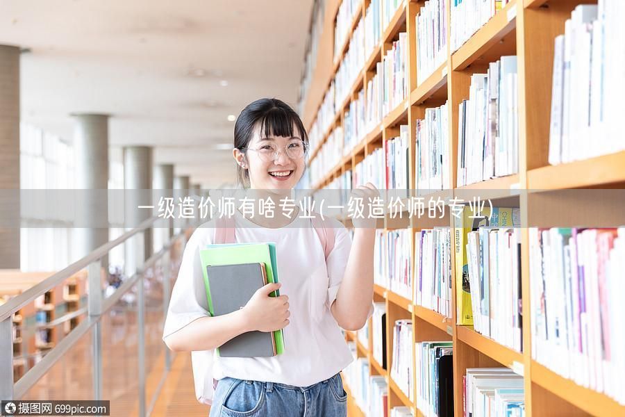 一级造价师有啥专业 造价工程师专业领域概