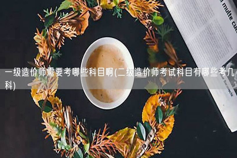 一级造价师需要考哪些科目啊 考试科目概览