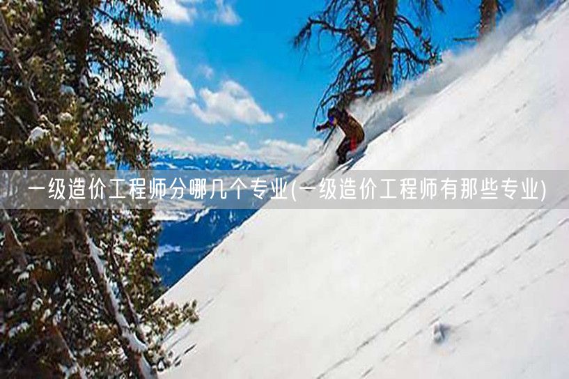 一级造价工程师分哪几个专业 涵盖多个专业