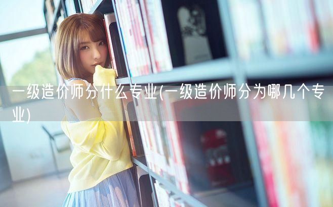 一级造价师分什么专业 细分专业概览