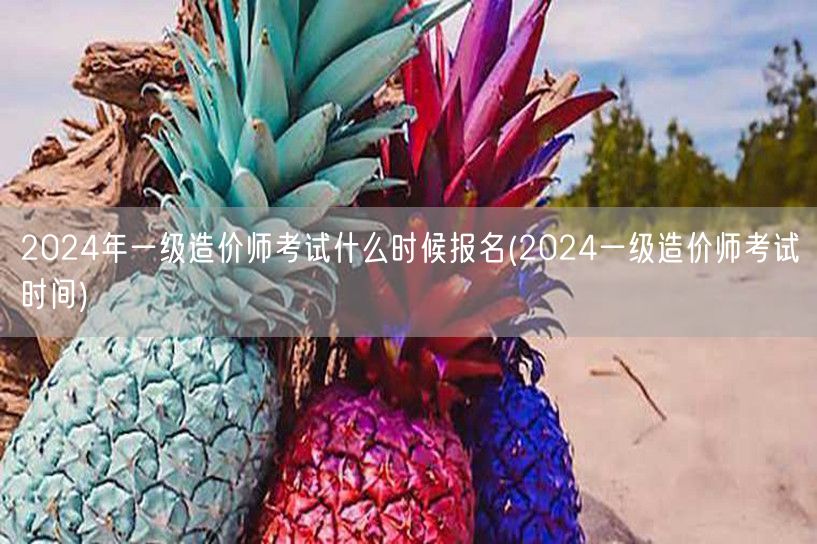 2024年一级造价师考试报名时间 202
