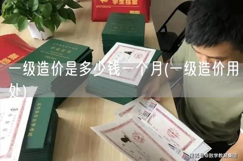 一级造价师月薪范围概览