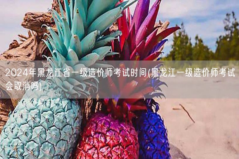 2024年黑龙江省一级造价师考试时间 何