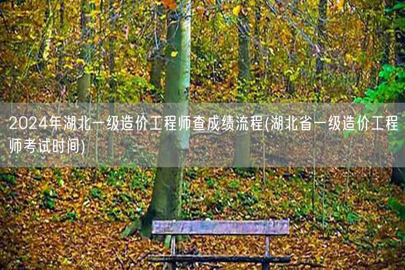 2024年湖北一级造价工程师查成绩流程及